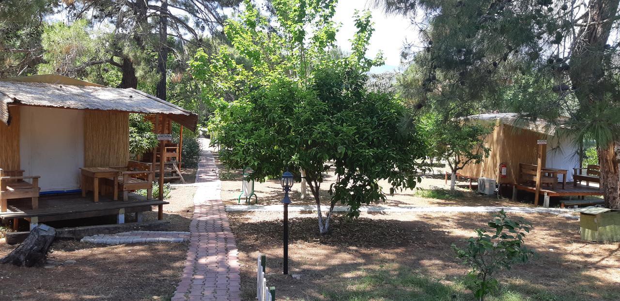 Secret Garden Hotel & Bungalows Cirali Exterior photo