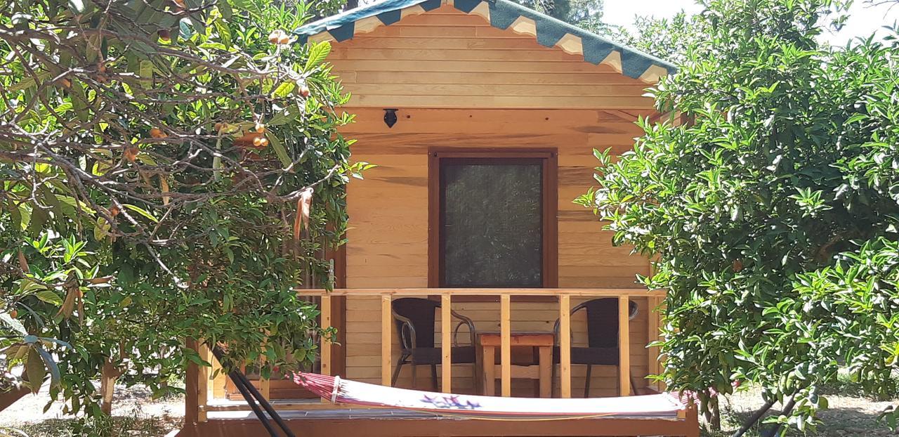 Secret Garden Hotel & Bungalows Cirali Exterior photo