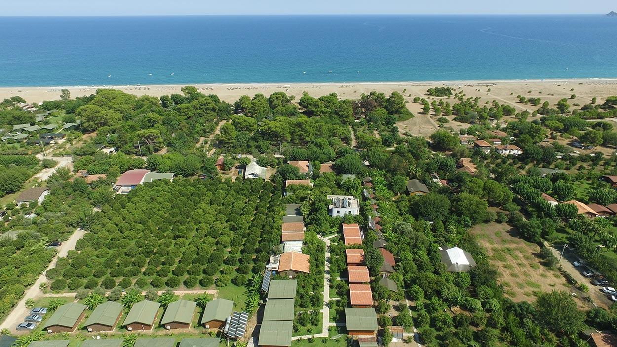 Secret Garden Hotel & Bungalows Cirali Exterior photo