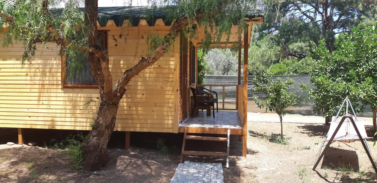 Secret Garden Hotel & Bungalows Cirali Exterior photo