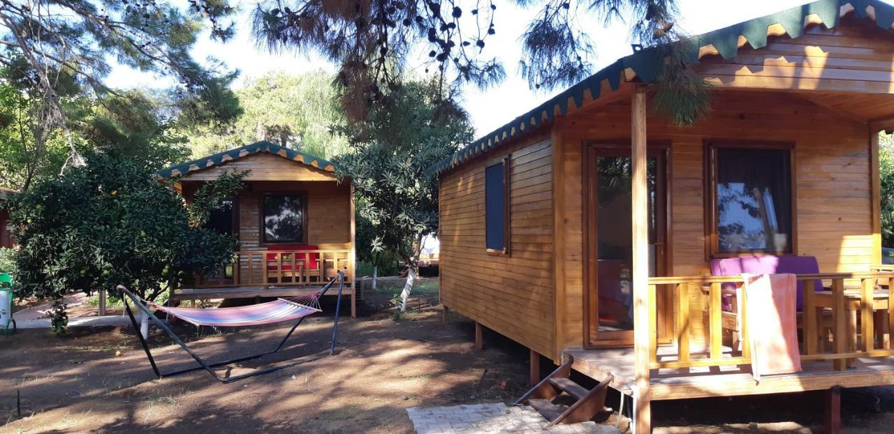 Secret Garden Hotel & Bungalows Cirali Exterior photo
