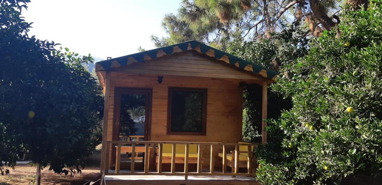 Secret Garden Hotel & Bungalows Cirali Exterior photo