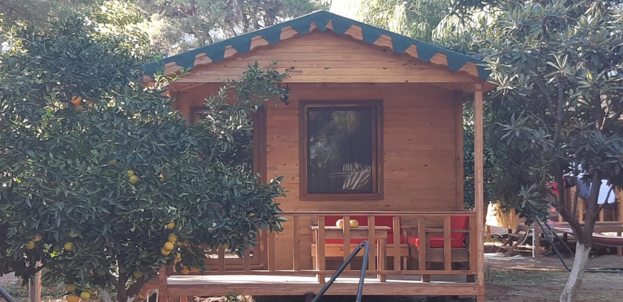 Secret Garden Hotel & Bungalows Cirali Exterior photo